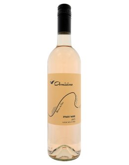 Pinot Noir Blanc de Noir - suché - 2025